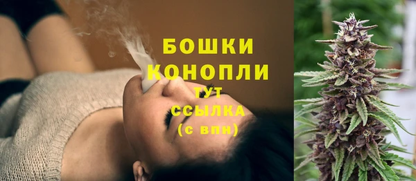 дживик Няндома