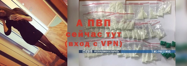 дживик Няндома