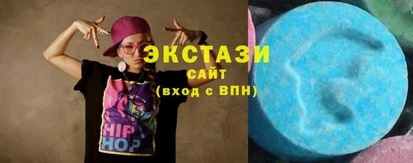 дживик Няндома