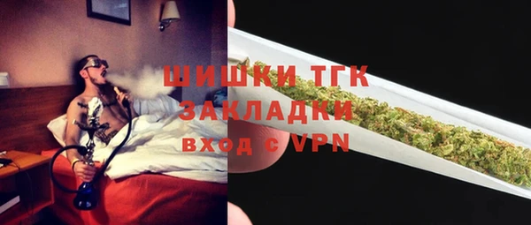 ешки Новодвинск