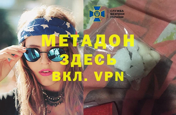 дживик Няндома