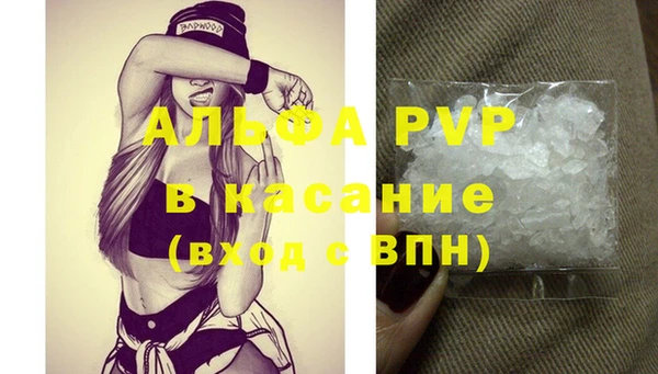 ешки Новодвинск