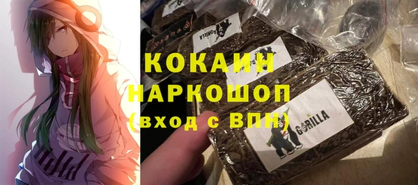 ешки Новодвинск