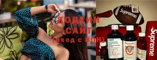 дживик Няндома