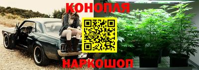 молекула духа Ипатово