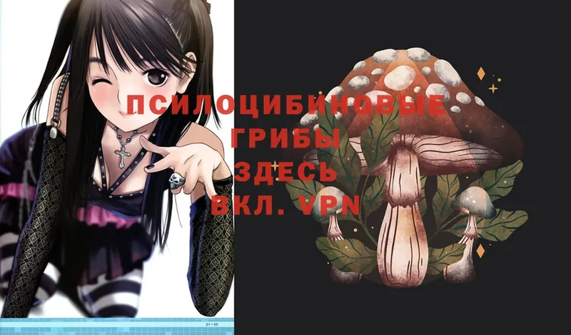 Галлюциногенные грибы Magic Shrooms  купить   Петровск 