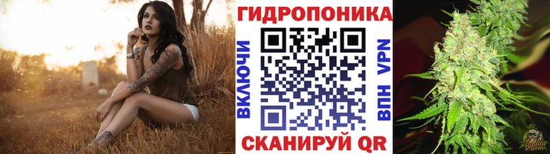 это наркотические препараты  Петровск  Бошки Шишки сатива 